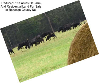 Reduced! 187 Acres Of Farm And Residential Land For Sale In Robeson County Nc!
