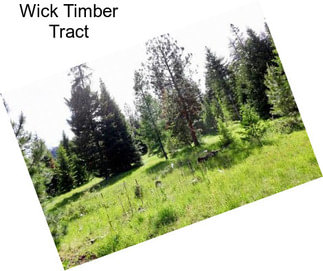 Wick Timber Tract