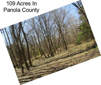 109 Acres In Panola County