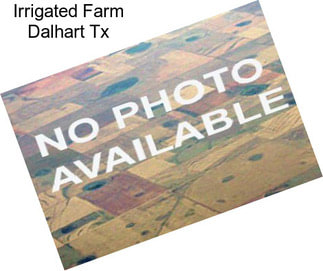 Irrigated Farm Dalhart Tx