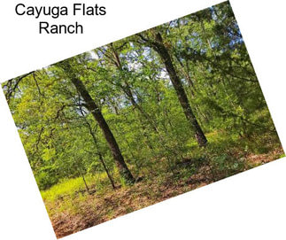 Cayuga Flats Ranch