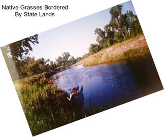 Native Grasses Bordered By State Lands