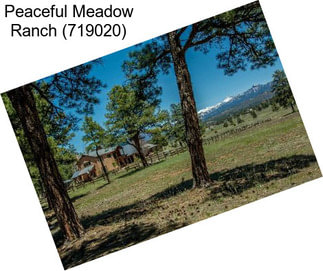 Peaceful Meadow Ranch (719020)