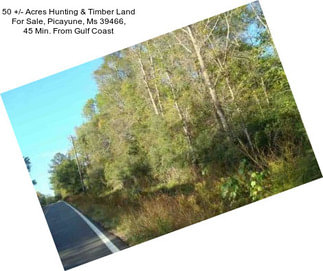 50 +/- Acres Hunting & Timber Land For Sale, Picayune, Ms 39466, 45 Min. From Gulf Coast