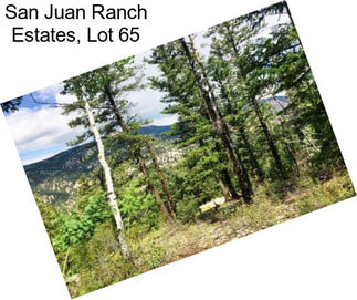 San Juan Ranch Estates, Lot 65