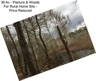 36 Ac - Pasture & Woods For Rural Home Site - Price Reduced