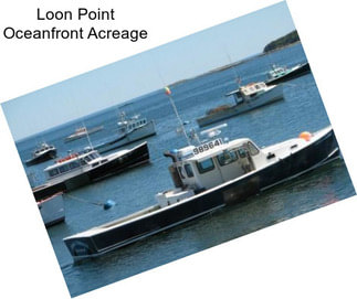 Loon Point Oceanfront Acreage