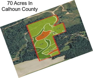 70 Acres In Calhoun County