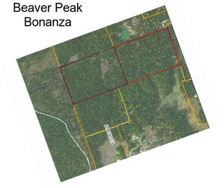 Beaver Peak Bonanza