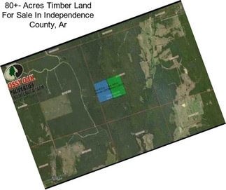 80+- Acres Timber Land For Sale In Independence County, Ar