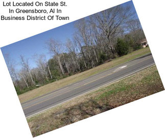 Lot Located On State St. In Greensboro, Al In Business District Of Town