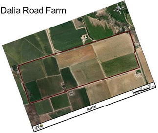 Dalia Road Farm