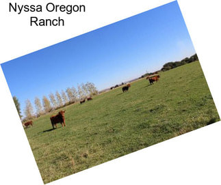 Nyssa Oregon Ranch