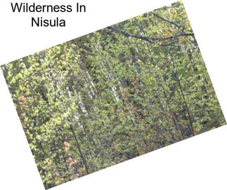 Wilderness In Nisula