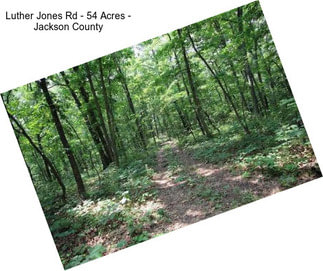Luther Jones Rd - 54 Acres - Jackson County