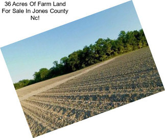 36 Acres Of Farm Land For Sale In Jones County Nc!