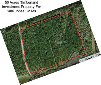 50 Acres Timberland Investment Property For Sale Jones Co Ms