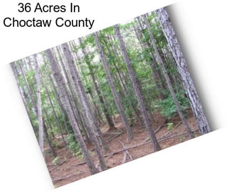 36 Acres In Choctaw County