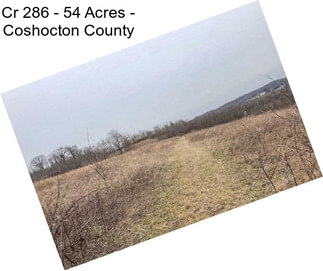 Cr 286 - 54 Acres - Coshocton County