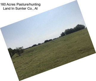 160 Acres Pasture/hunting Land In Sumter Co., Al