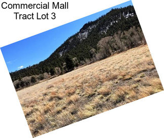 Commercial Mall Tract Lot 3