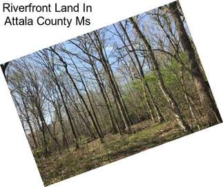 Riverfront Land In Attala County Ms