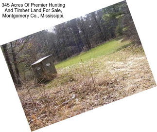 345 Acres Of Premier Hunting And Timber Land For Sale, Montgomery Co., Mississippi.