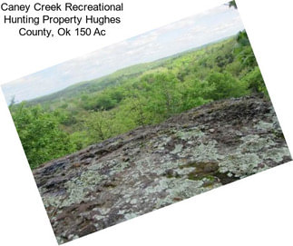 Caney Creek Recreational Hunting Property Hughes County, Ok 150 Ac