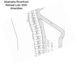 Altamaha Riverfront Retreat Lots With Amenities