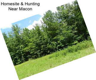 Homesite & Hunting Near Macon