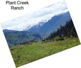 Plant Creek Ranch