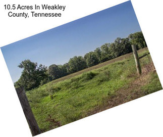 10.5 Acres In Weakley County, Tennessee
