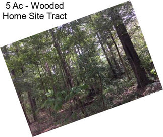 5 Ac - Wooded Home Site Tract