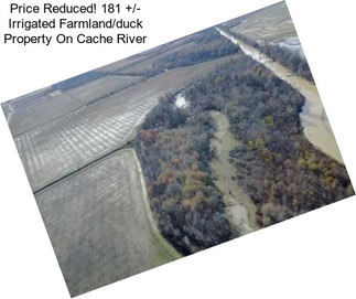 Price Reduced! 181 +/- Irrigated Farmland/duck Property On Cache River