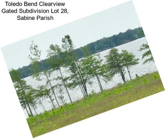 Toledo Bend Clearview Gated Subdivision Lot 28, Sabine Parish