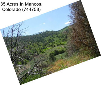 35 Acres In Mancos, Colorado (744758)