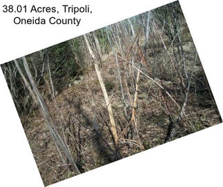 38.01 Acres, Tripoli, Oneida County