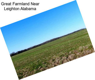 Great Farmland Near Leighton Alabama