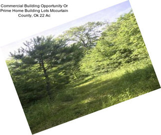 Commercial Building Opportunity Or Prime Home Building Lots Mccurtain County, Ok 22 Ac