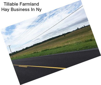 Tillable Farmland Hay Business In Ny