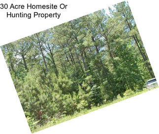 30 Acre Homesite Or Hunting Property