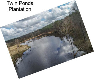 Twin Ponds Plantation