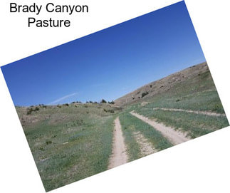 Brady Canyon Pasture