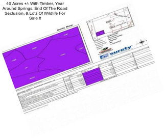 40 Acres +/- With Timber, Year Around Springs, End Of The Road Seclusion, & Lots Of Wildlife For Sale !!