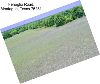 Fenoglio Road, Montague, Texas 76251