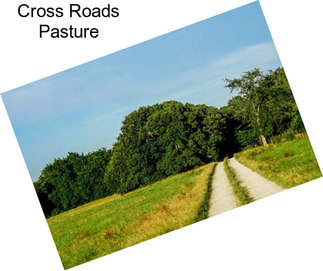 Cross Roads Pasture