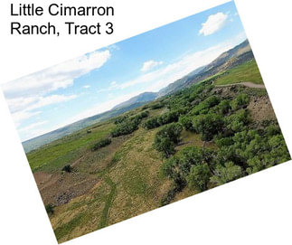 Little Cimarron Ranch, Tract 3