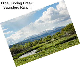 O\'dell Spring Creek Saunders Ranch