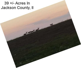 39 +/- Acres In Jackson County, Il