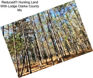Reduced!!! Hunting Land With Lodge Clarke County Ms